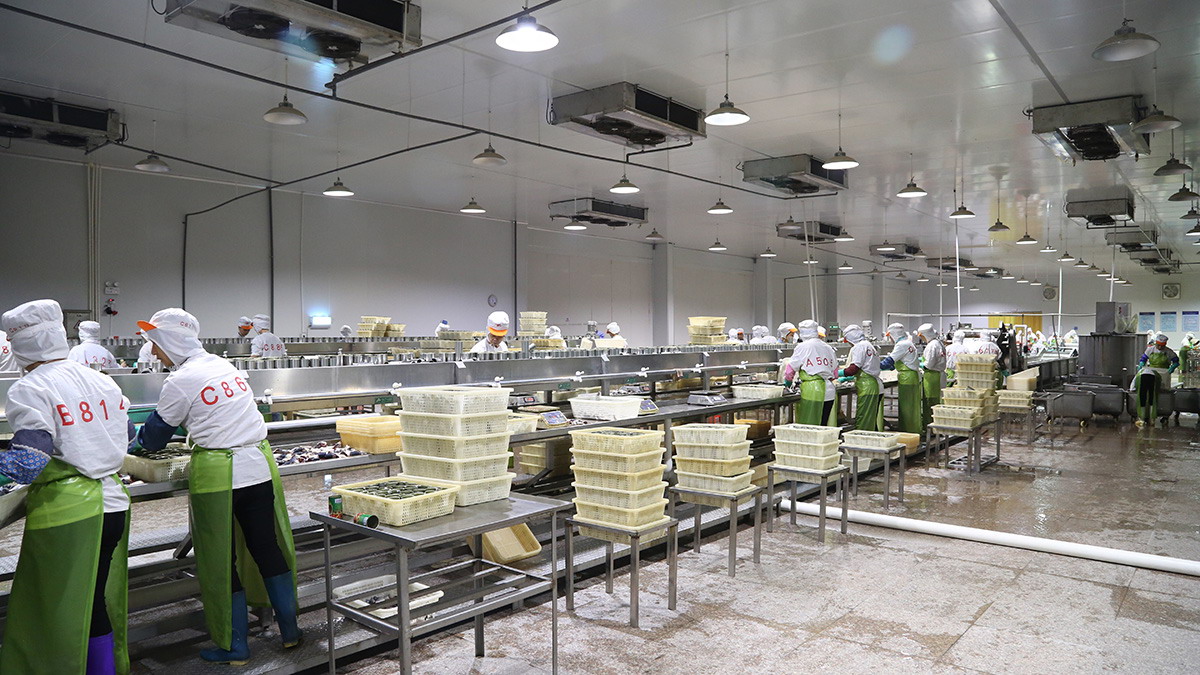 bevictor伟德官网-韦德官方网站