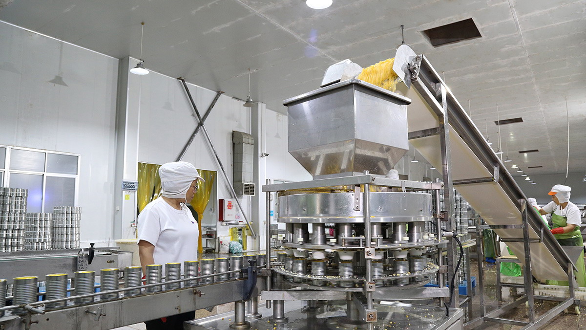 bevictor伟德官网-韦德官方网站